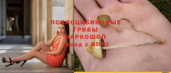 дживик Навашино