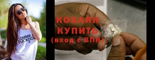дживик Навашино