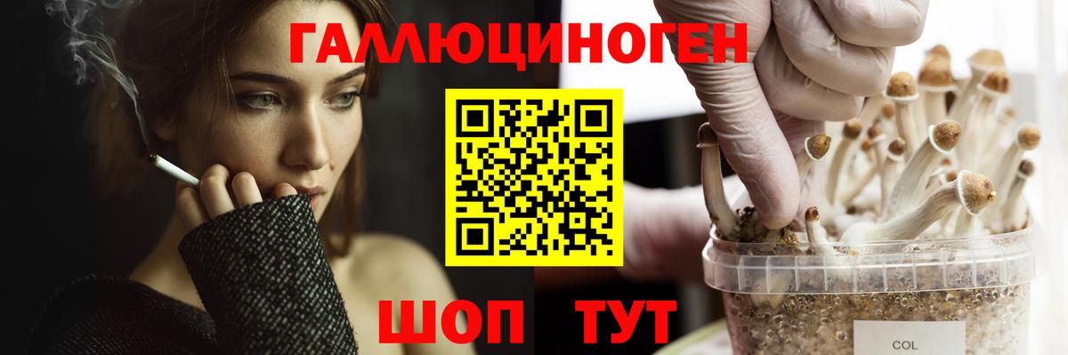Салават  Псилоцибиновые грибы Magic Shrooms  Вход с VPN  Псилоцибиновые грибы MAGIC MUSHROOMS 